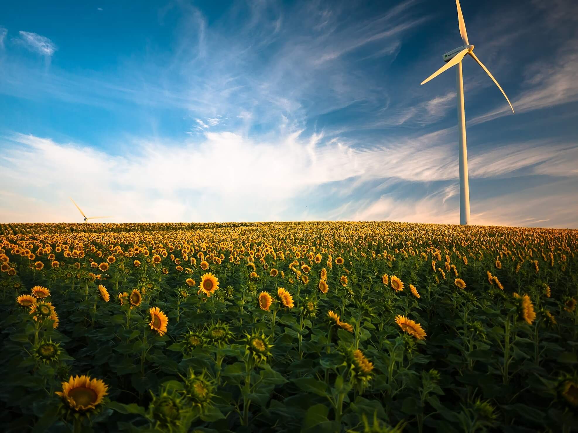 Energylabel for expats - photo-1472313420546-a46e561861d8